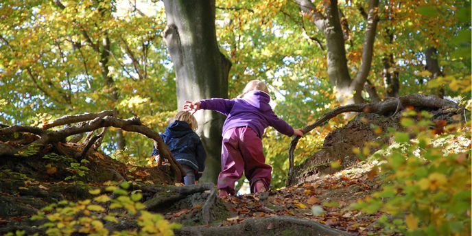 Zwei Kindern klettern im Wald einen Hang hinauf.